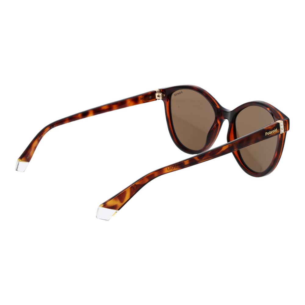 Polaroid Brown Plastic Sunglasses