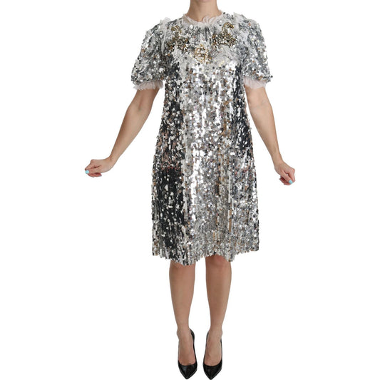 Dolce & Gabbana Elegant Silver A-Line Dress with Crystal Accents Dolce & Gabbana