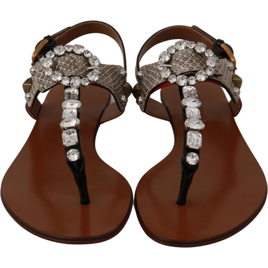 Dolce & Gabbana Elegant Strappy Sandals with Exotic Charm Dolce & Gabbana