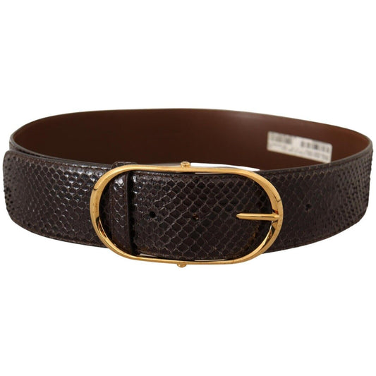 Dolce & Gabbana Elegant Python Leather Belt with Gold Buckle