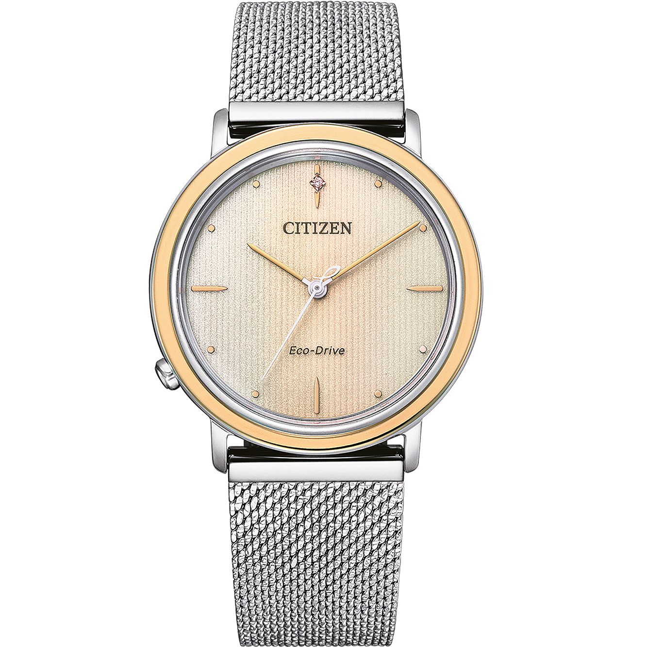 CITIZEN Mod. EM1006-40A