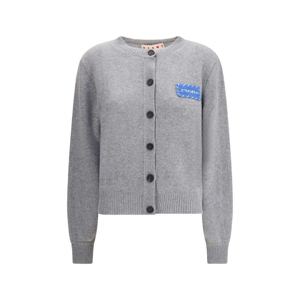 Marni Gray Cashmere Cardigan Marni