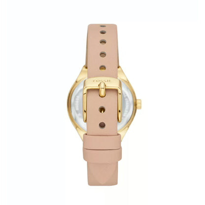 Mod. BQ3804 READY STOCKED WATCHES