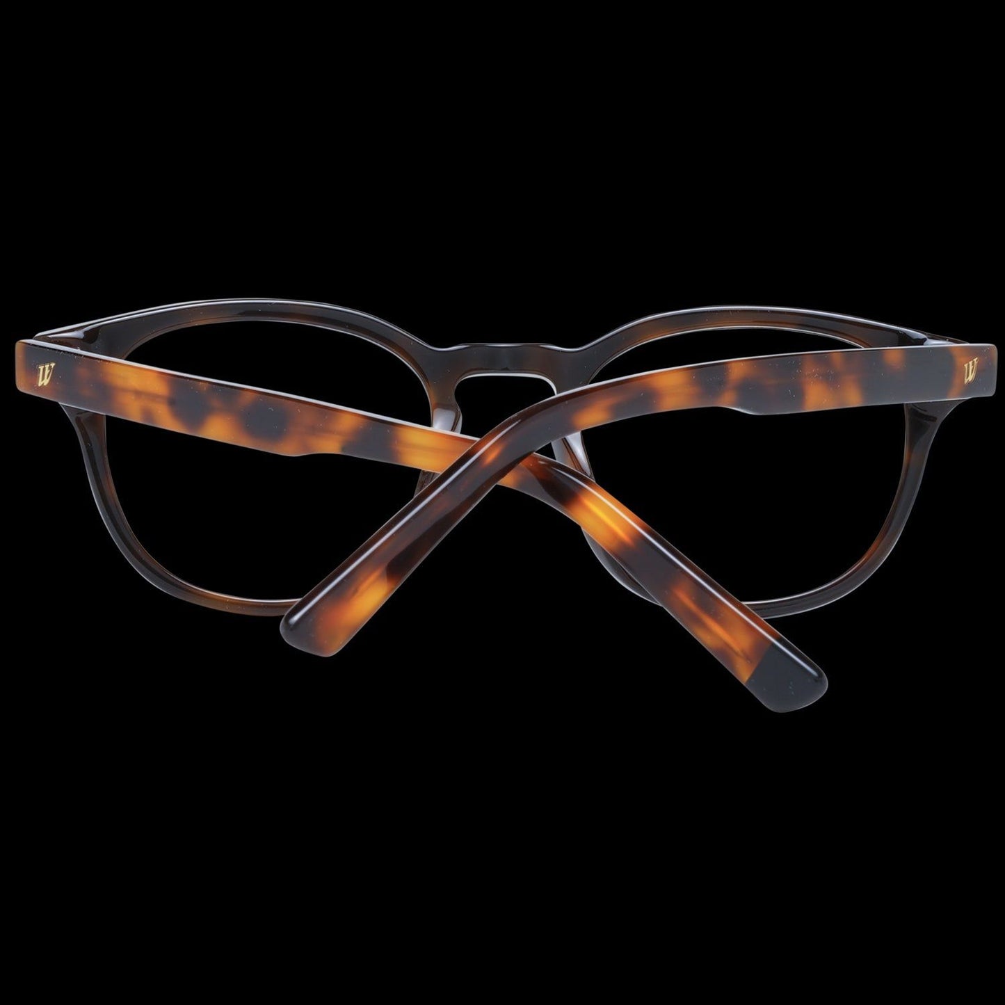 WEB MOD. WE5346 49005 SUNGLASSES & EYEWEAR WEB EYEWEAR