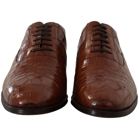 Dolce & Gabbana | Brown Crocodile Leather Mens Formal Derby Shoes | McRichard Designer Brands